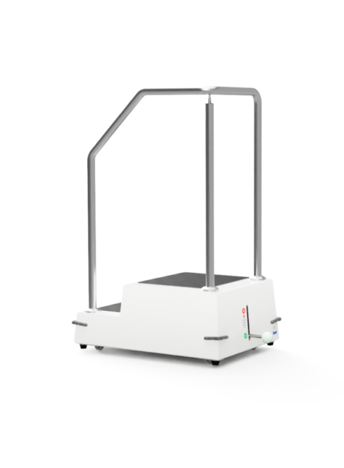 Dual Mobile Patient Assistive Step