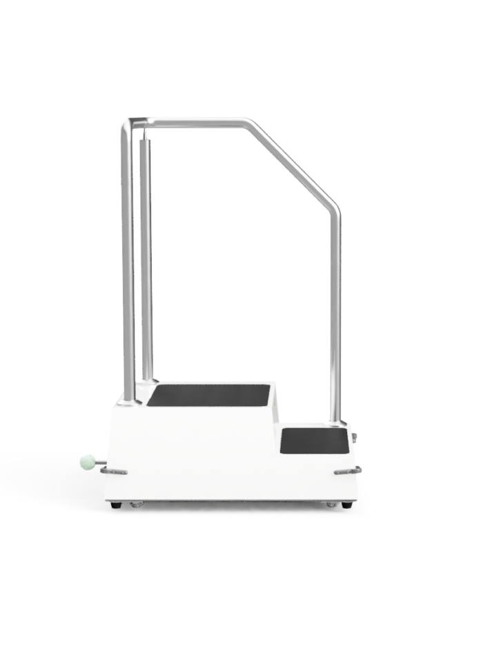 Dual Mobile Patient Assistive Step